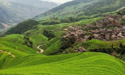 Longji Rice Terraces – a guide for tourists