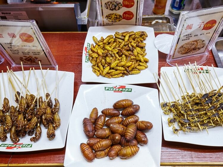 edible insects Guilin market